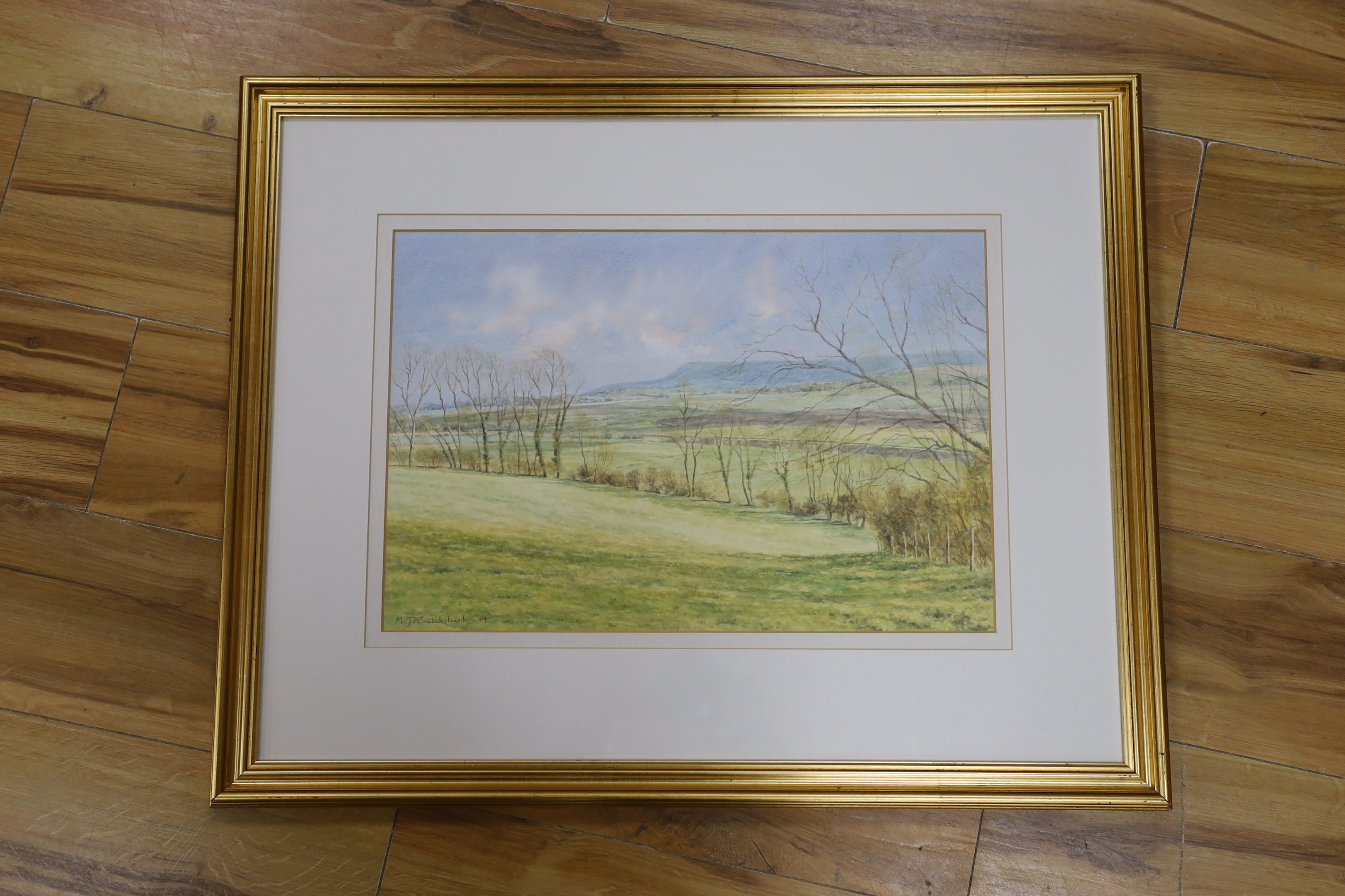 Michael J Cruickshank (Contemporary), watercolour, Firle Beacon, signed and dated '94, 32 x 46cm
